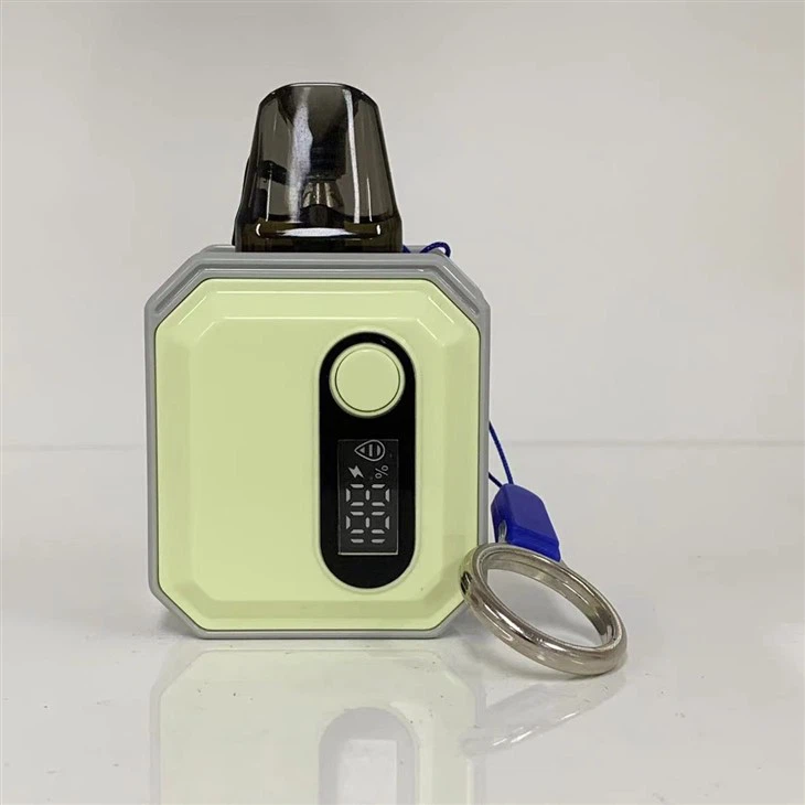 2 Ml Electronic Cigarette 10 Flavors Mini Vape Pod