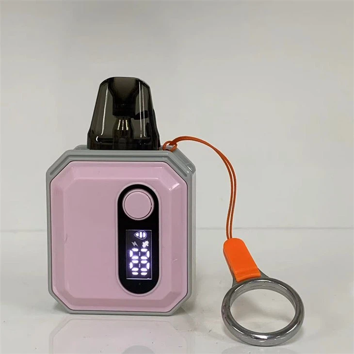 600 Puffs Vape Pod With 10 Flavors Wholesale Price