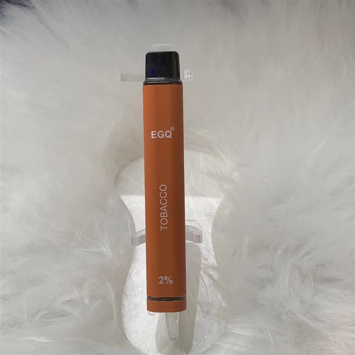 OEM ODM Disposable Vape 600 Puffs E Cigarette Wholesale